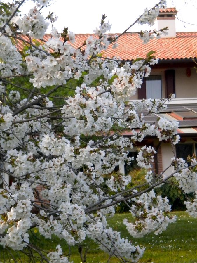 Villa Agriturismo Il Magicorto Cassola Exterior foto