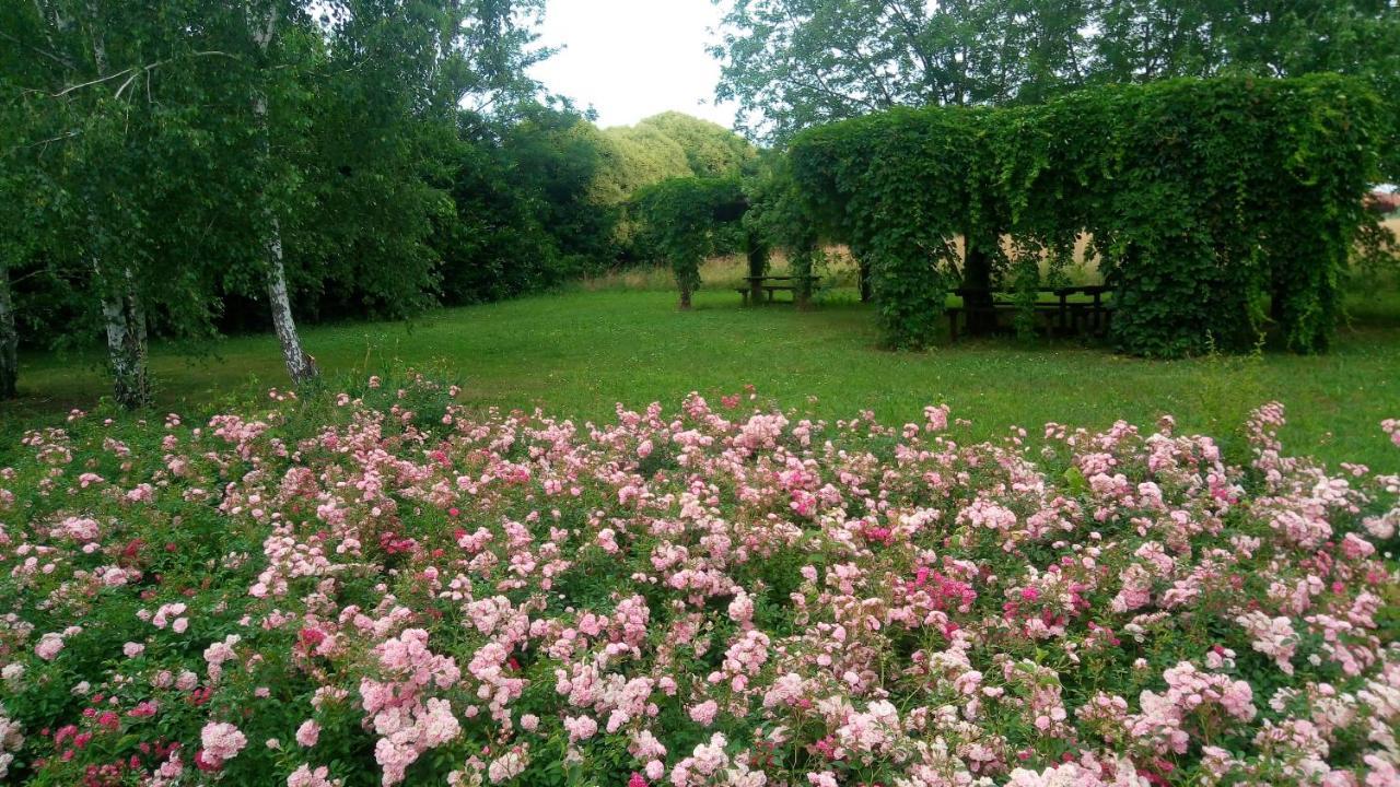 Villa Agriturismo Il Magicorto Cassola Exterior foto