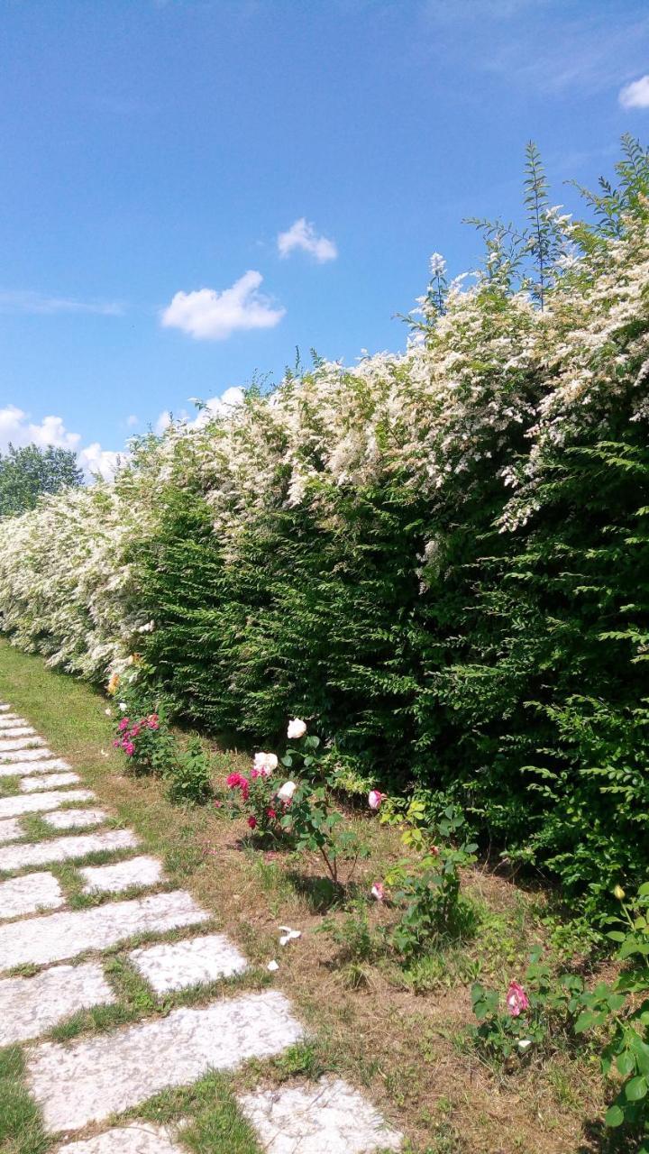 Villa Agriturismo Il Magicorto Cassola Exterior foto